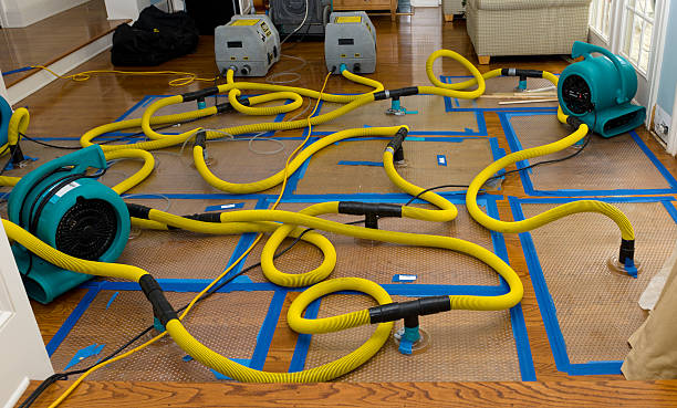 Professional Flood Damage Restoration technician working in Alexandria, MN